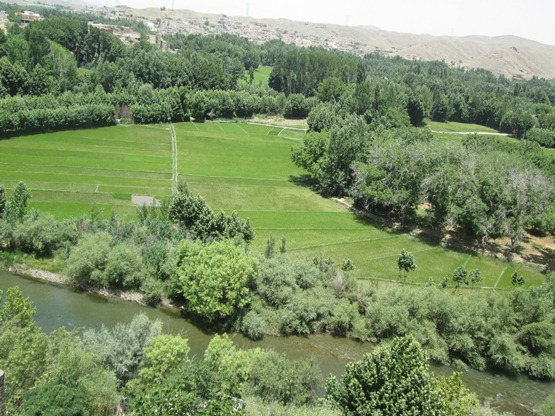 تصاویر روستای مورکان (اصفهان -لنجان)