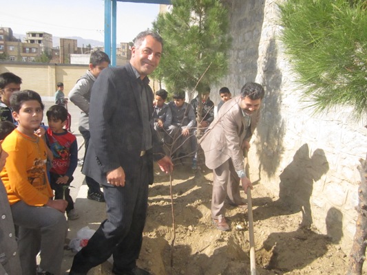 روز درختکاری 